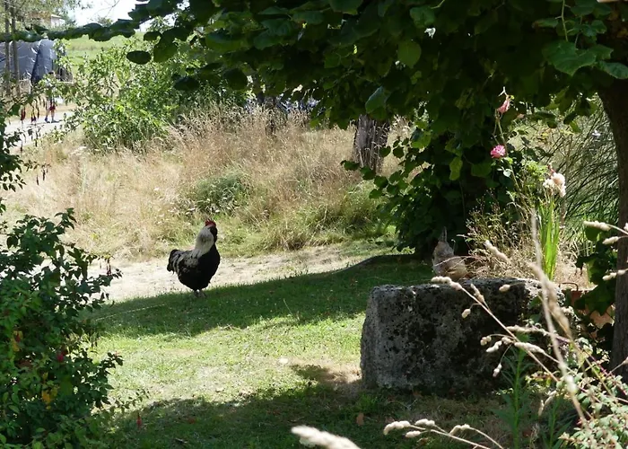 Maison Du Cheval