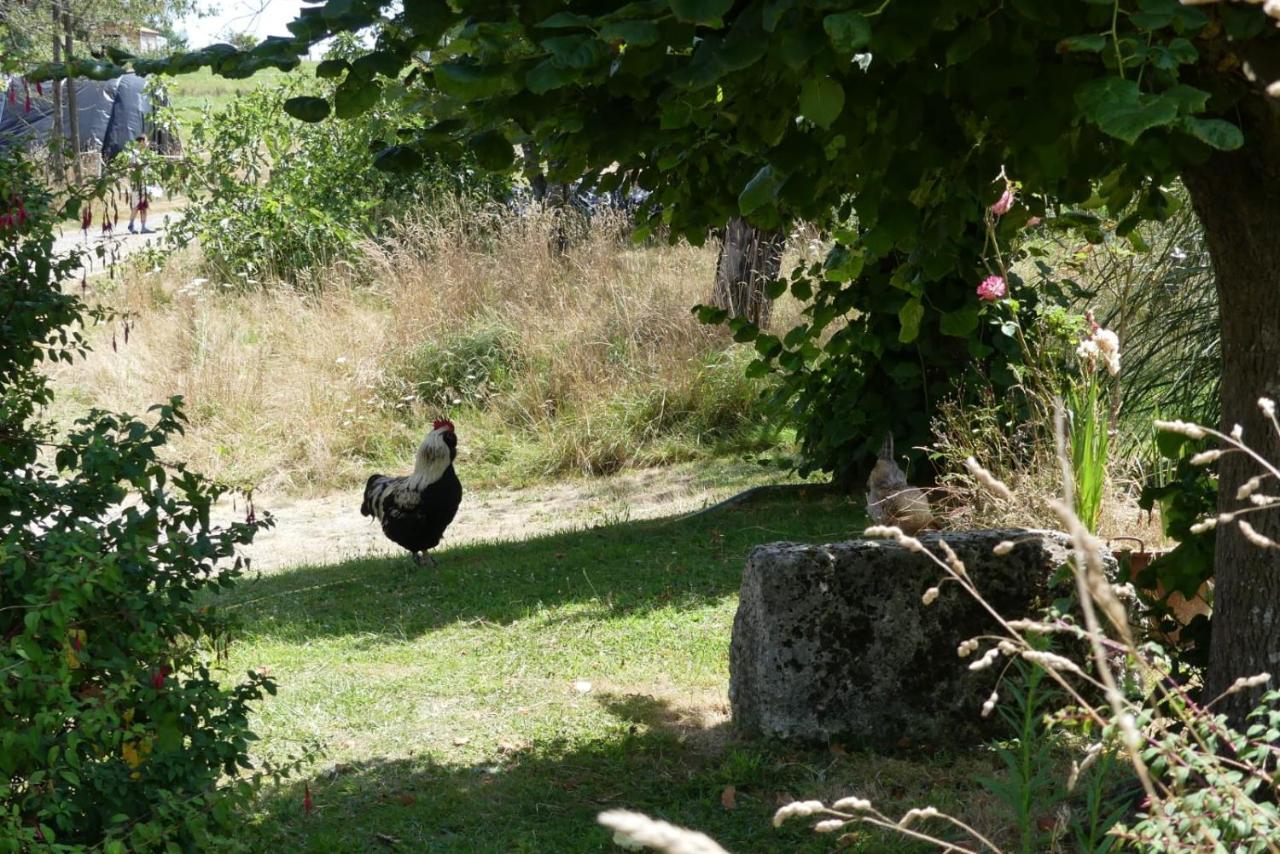 Maison Du Cheval